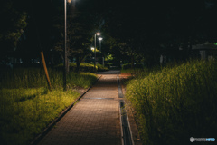 夜道