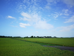 角田山麓から　R0290011