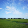 角田山麓から　R0290011