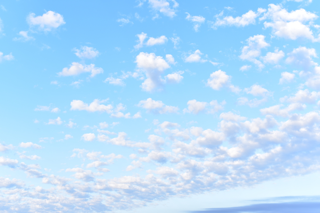 秋空　DSC_1303