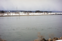 風景写真　DSC00357