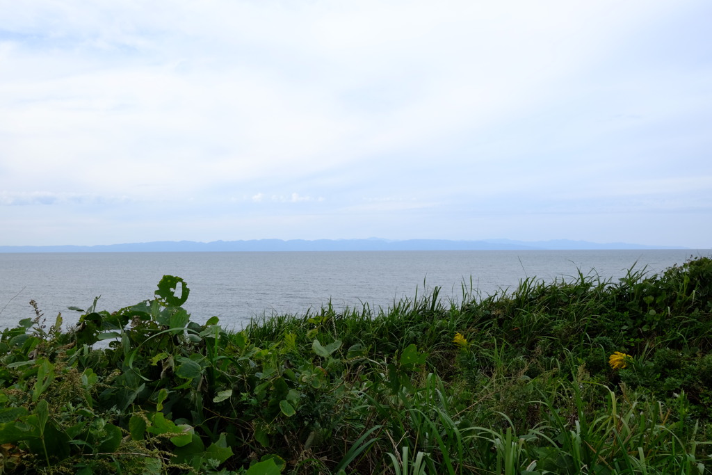 風景写真　DSCF6106
