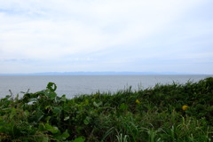 風景写真 DSCF6106 風景写真 DSCF6106