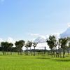 夏井のハザ木　DSC_1200