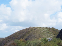 弥彦山
