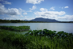 風景写真　DSC00741