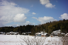 風景写真　DSC00448