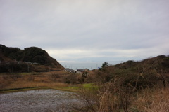 風景写真　DSC00247