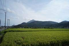 田園風景　DSC00787