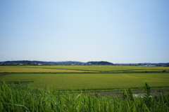 風景写真　DSC00834