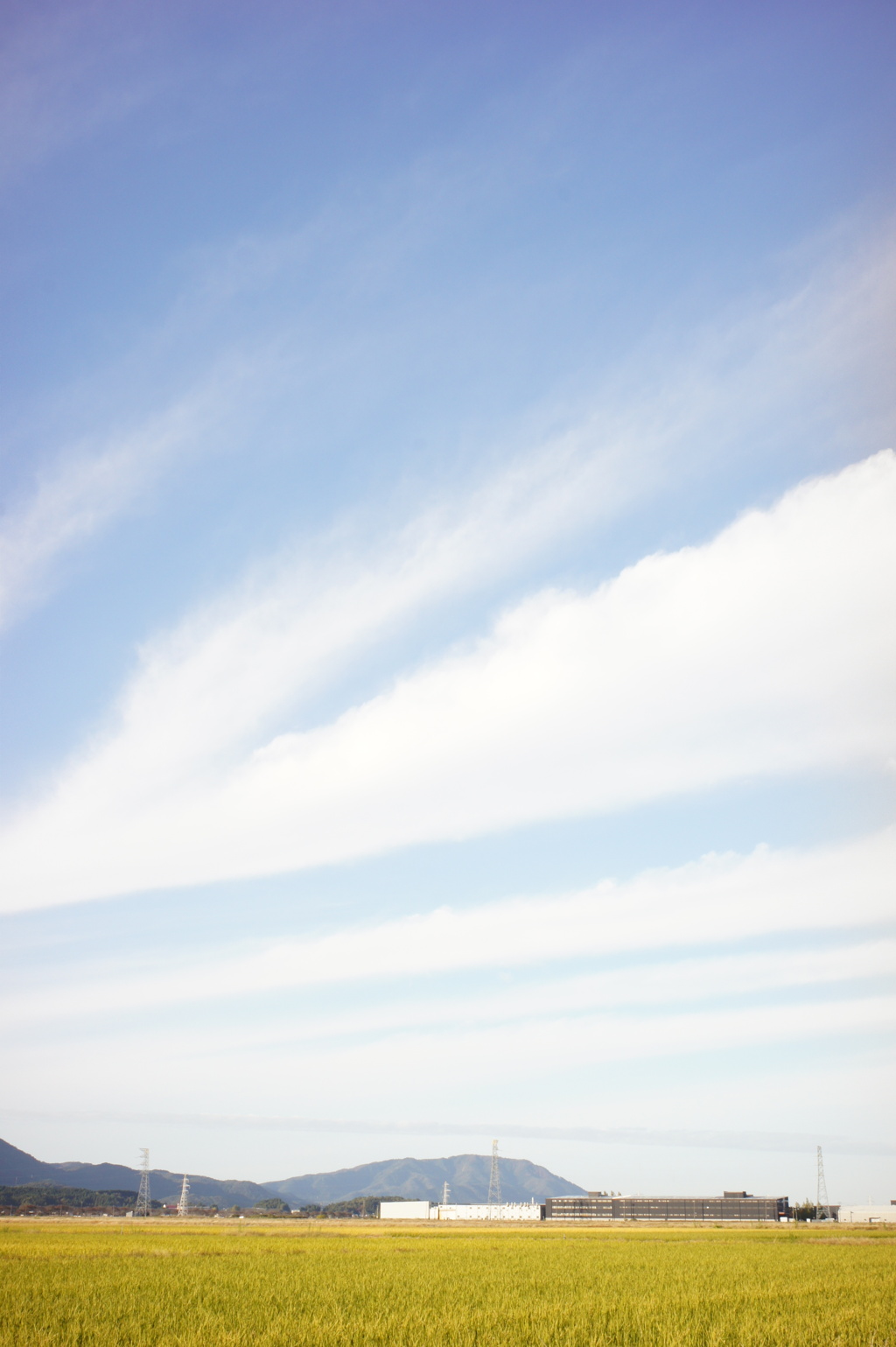 秋空　DSC00101