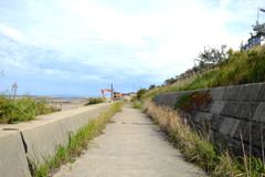 風景写真　DSCF6086