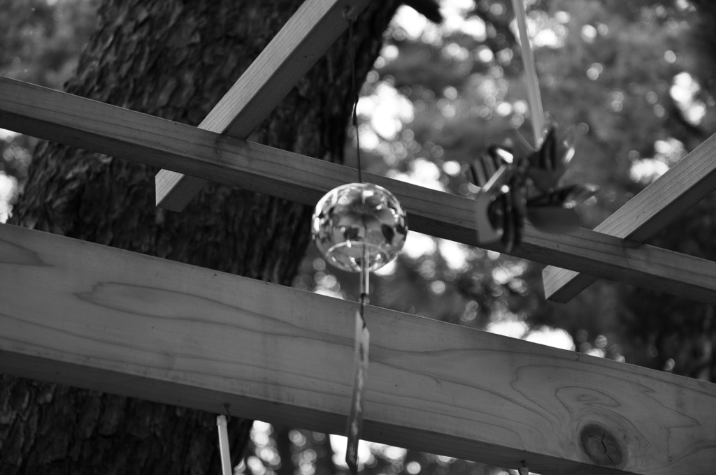 金峰神社　DSC_0019
