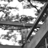 金峰神社　DSC_0018