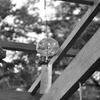 金峰神社　DSC_0021