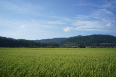 田園風景　DSC00784