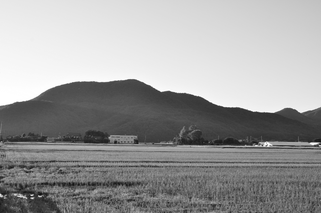 国上山　DSC_0077