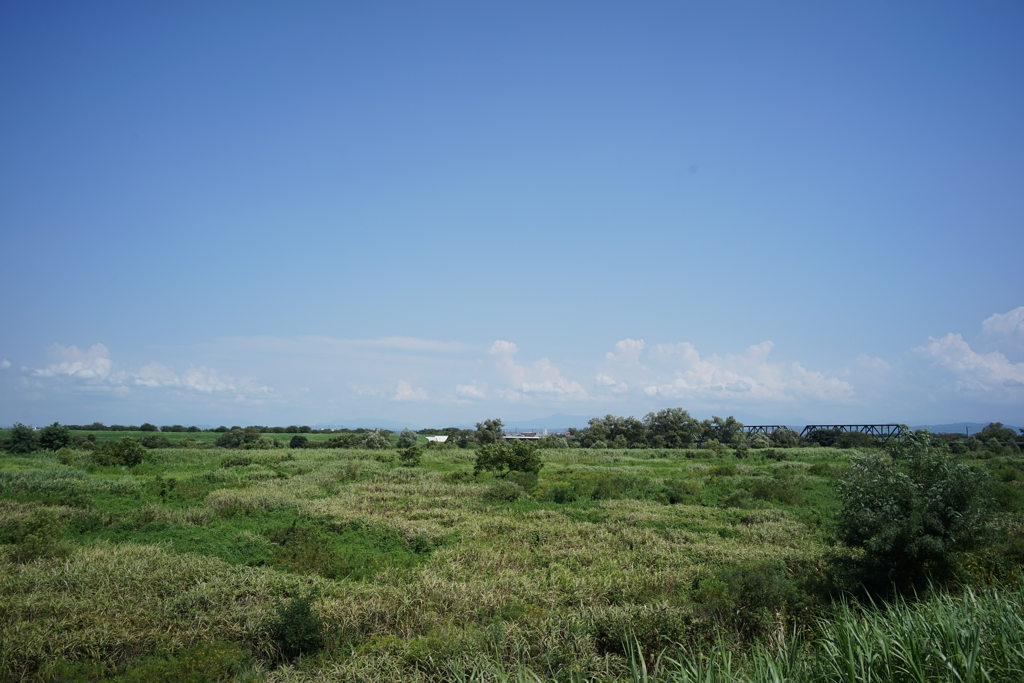 風景写真　DSC00829