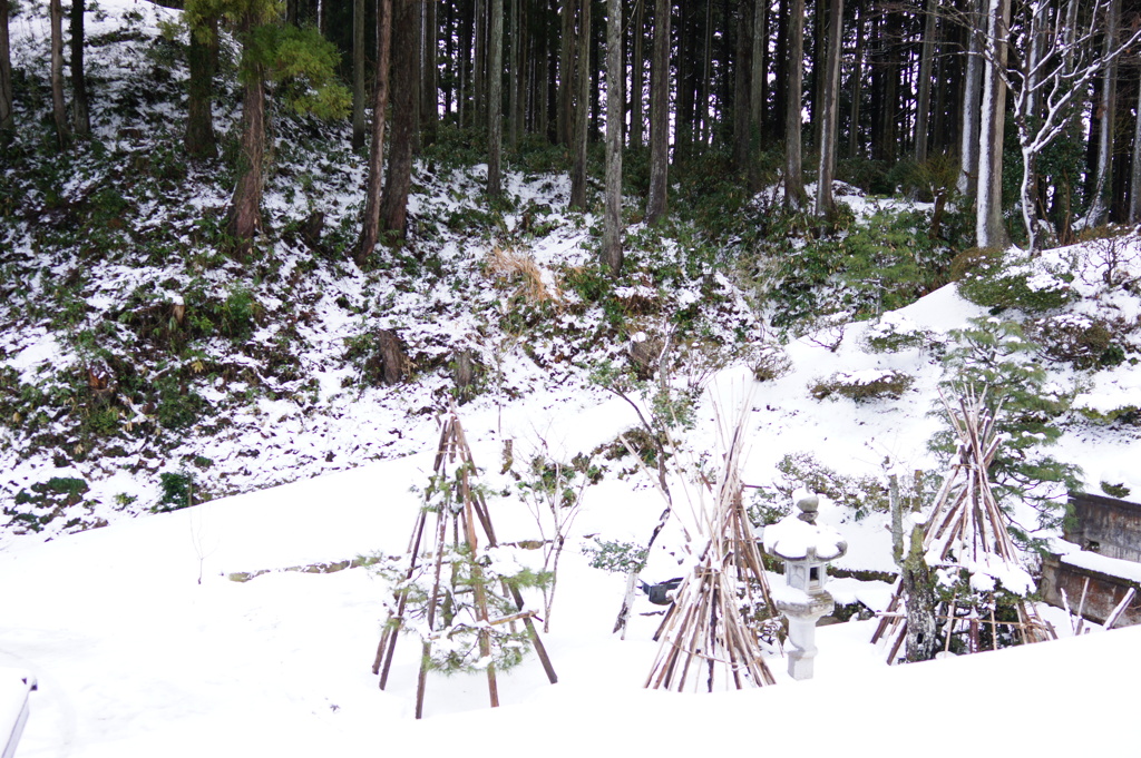 自宅前　DSC01093