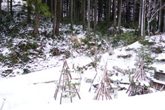 自宅前　DSC01093