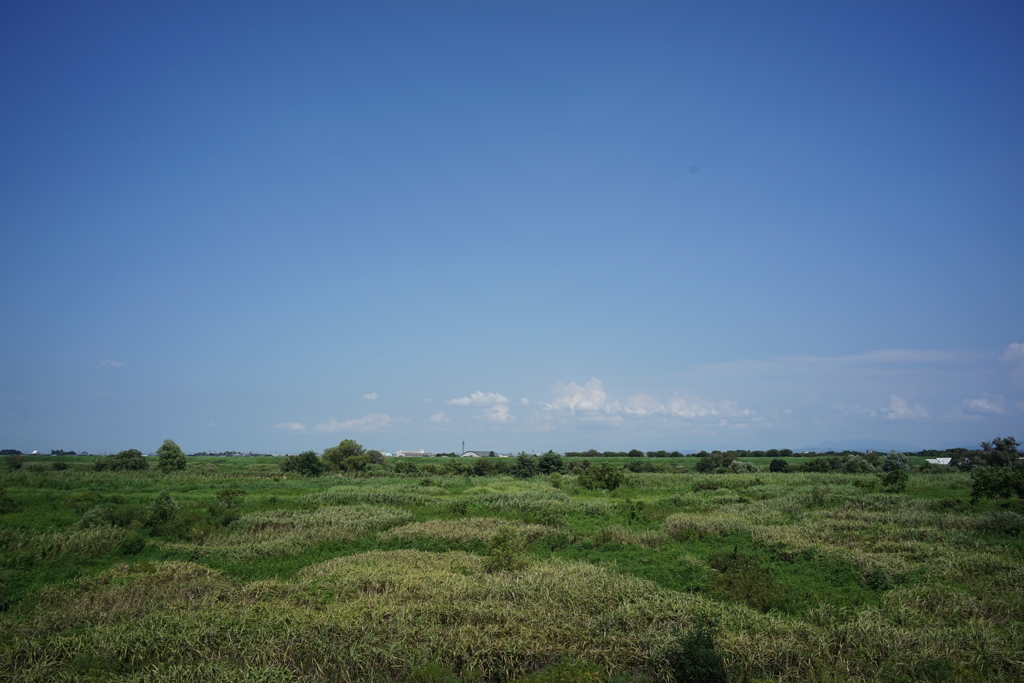 風景写真　DSC00831