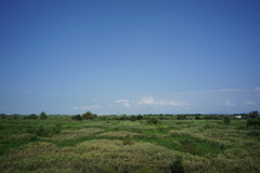風景写真　DSC00831