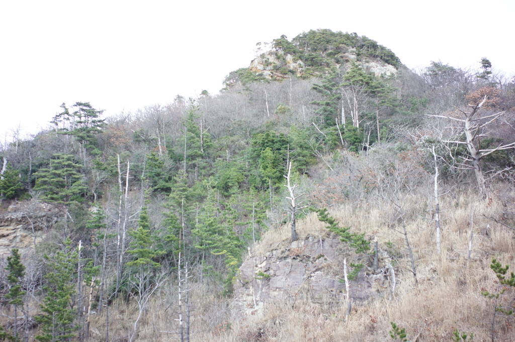 風景写真　DSC00377