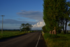 散歩道　DSC_1327