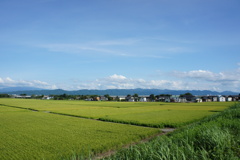 風景写真　DSC00768