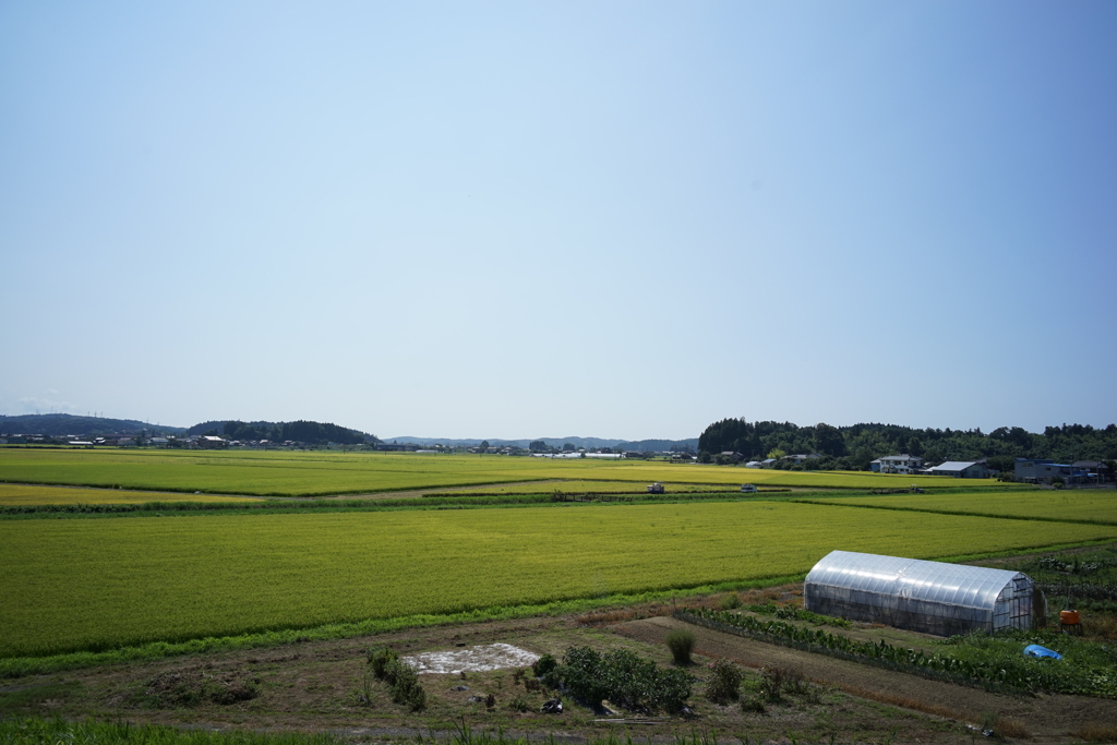 風景写真　DSC00832