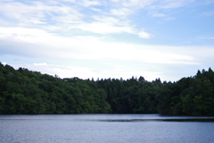 平野新の池