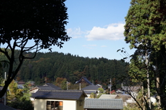 風景写真　DSC00967