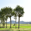 夏井のハザ木　DSC_1191