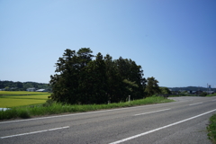 風景写真　DSC00837