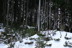 自宅前　DSC_0069