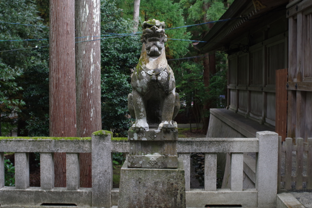 秋雨の彌彦様2