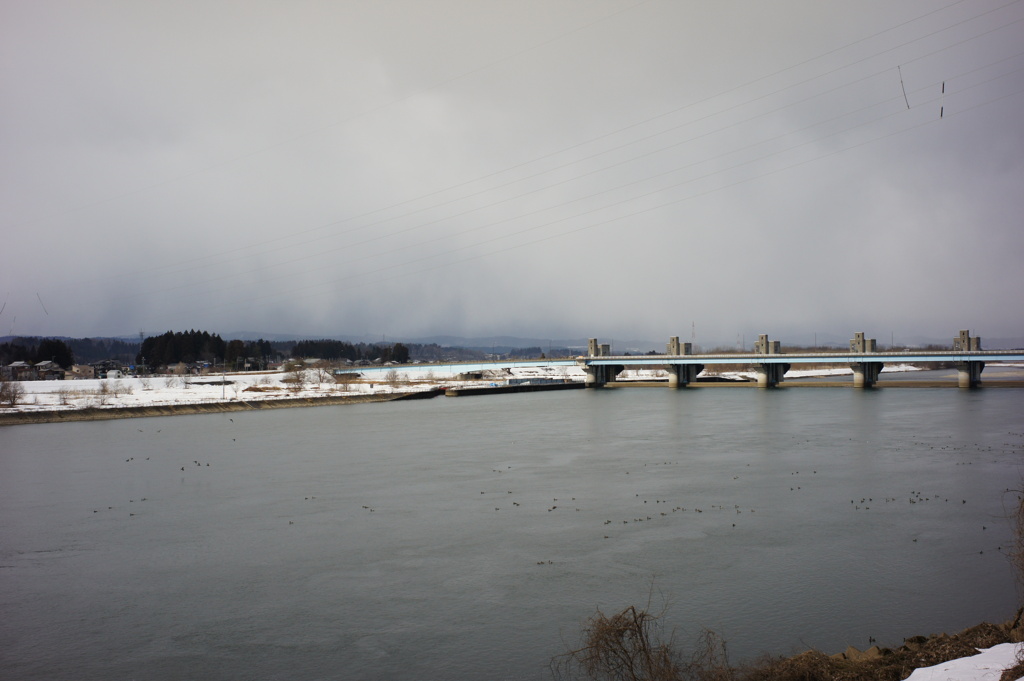 風景写真　DSC00360