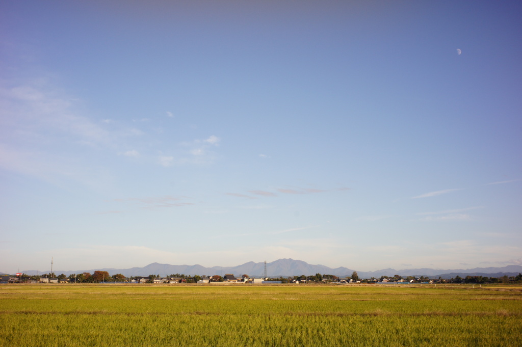 秋空　DSC00106