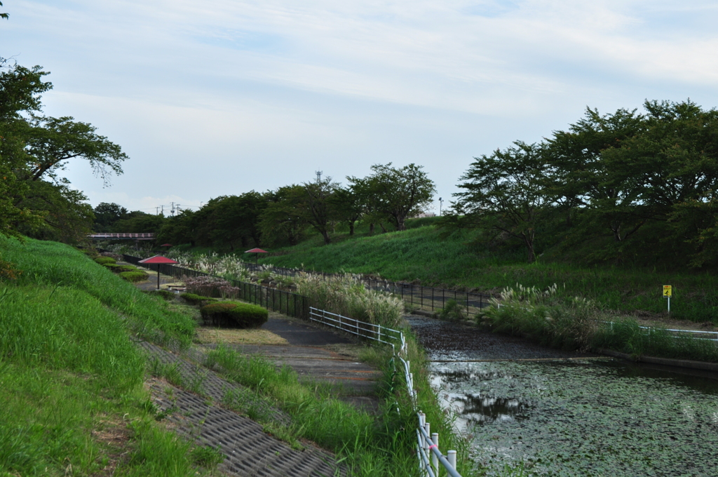 大通川　DSC_0071