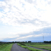 散歩道　DSC_1266