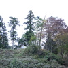 富士大権現さま　DSC00051