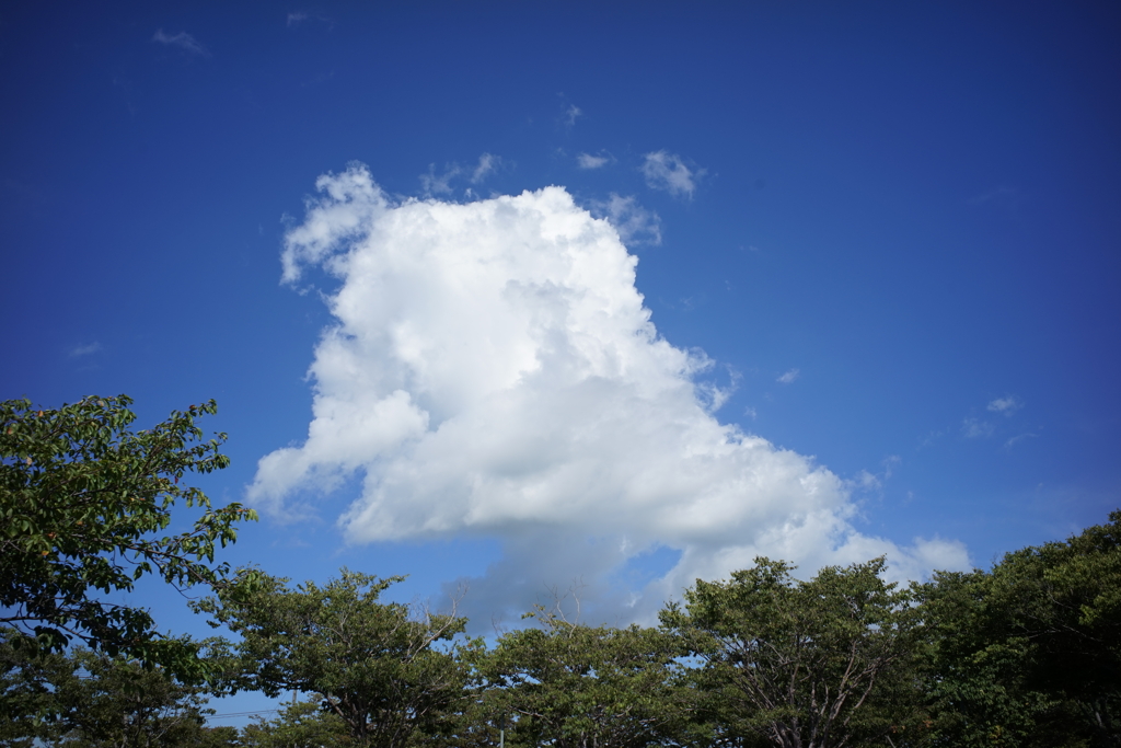 雲　DSC00744