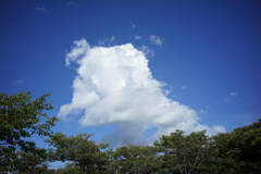 雲　DSC00744