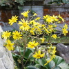 DSC00028