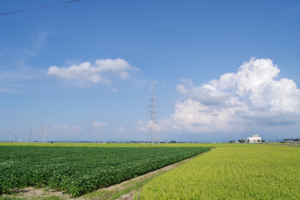 夏空　IMGP3856