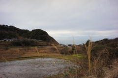 風景写真　DSC00245