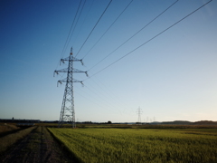 風景写真　R0340011