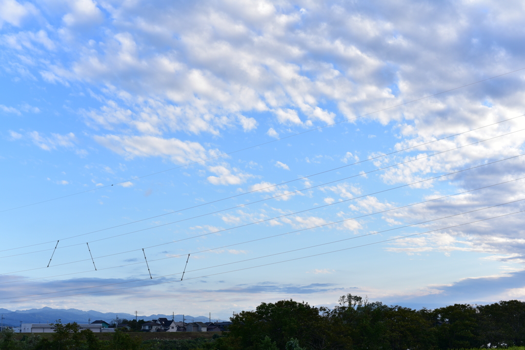 秋空　DSC_1285