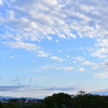 秋空　DSC_1285