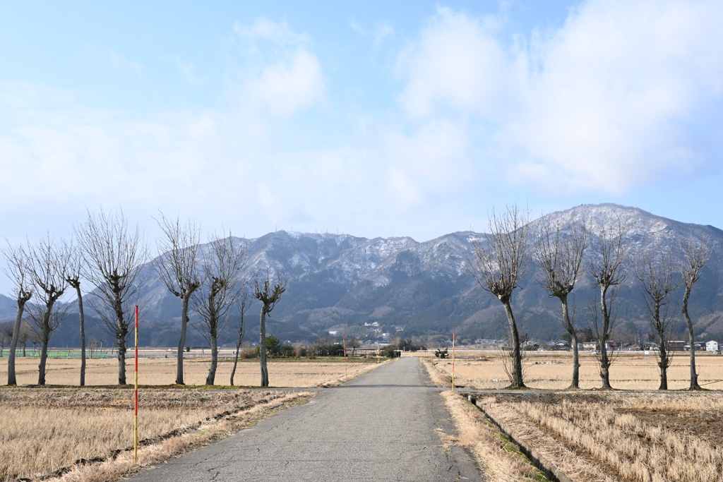 弥彦山　DSC_0078